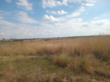 Land