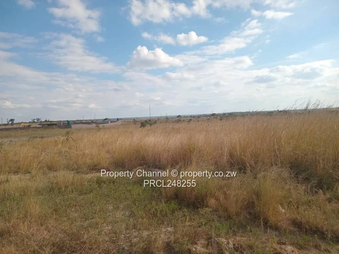 5,000 sqm Level Plot in 8km west of Gweru CBD — Open Grass, Adjacent Walled Property