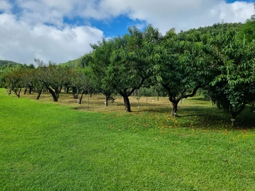 Farm & Agricultural Land