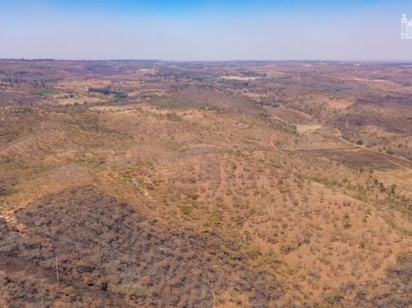 Farm & Agricultural Land
