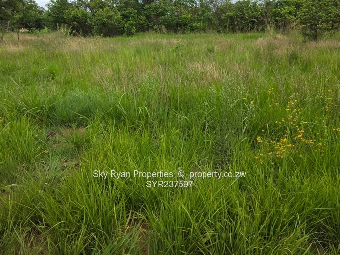 Mabelreign choice of 3 stands for sale 