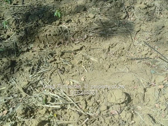 Woodville | Bulawayo– 1 Acre Plot (±4,000sqm)