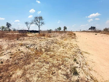 Stands & Residential Land