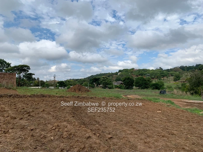 Ready To Build Stand For Sale In Glen Lorne