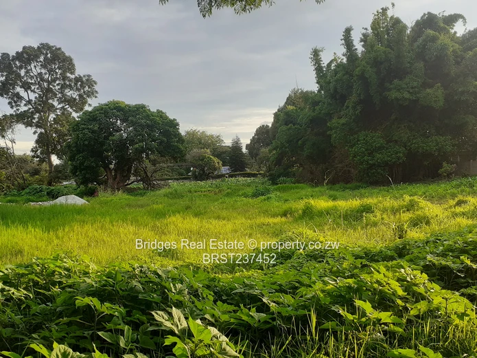 Property Development 101! The stuff of dreams!