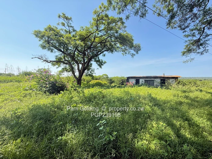 Nyamandlovu 1026 farm for sale