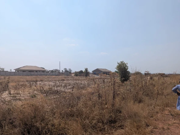 Stands & Residential Land