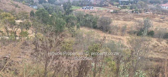 Carrick Creagh Estate land for sale  80usd per square (Sole Mandate)