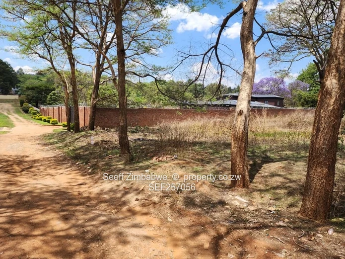 Rare Prime Find: Build Your Dream Home in Affluent Glen Lorne