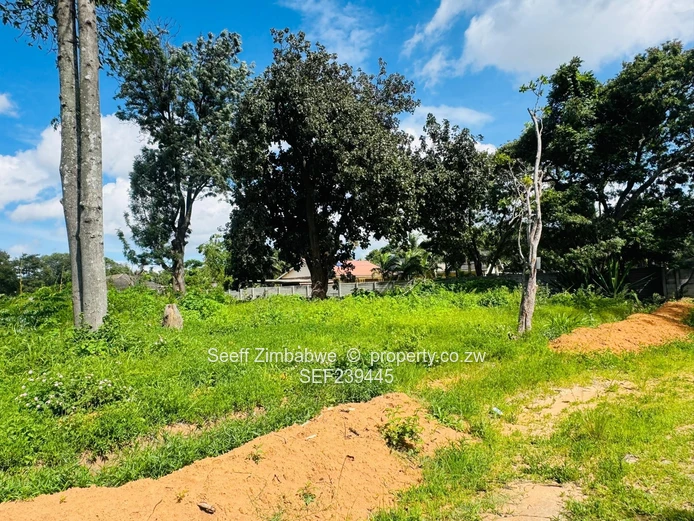 Hatfield Residential Land: Ready for Cluster Development  (Sole Mandate)
