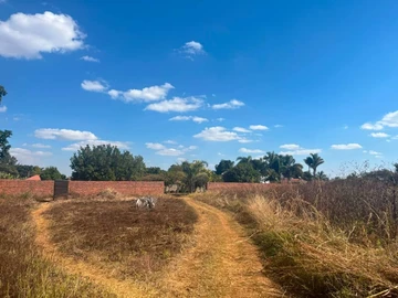 Land