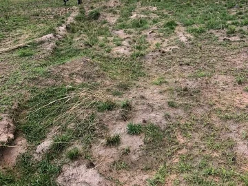 Stands & Residential Land