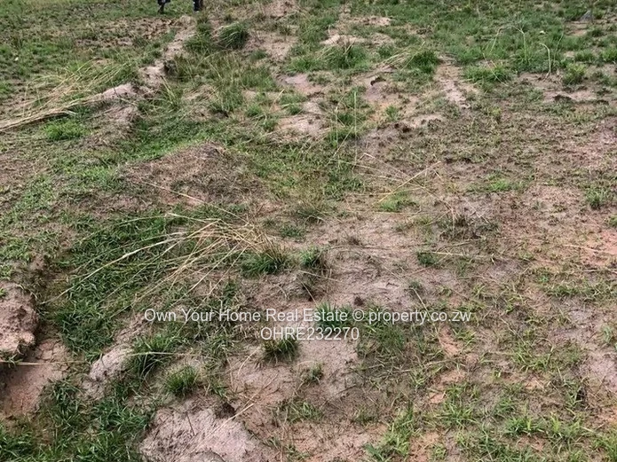 Huntersville Stand For Sale