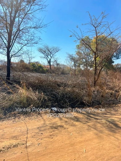 Sawara hills Residential stands for sale