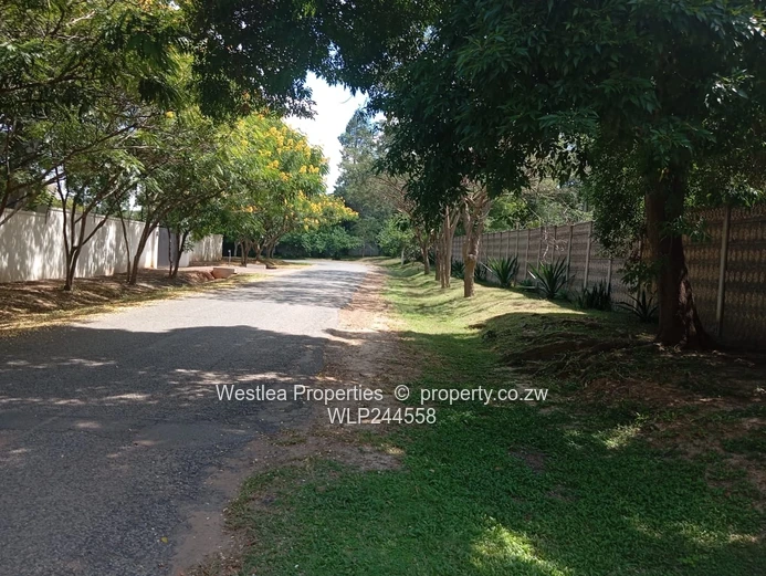 Grab this massive gem