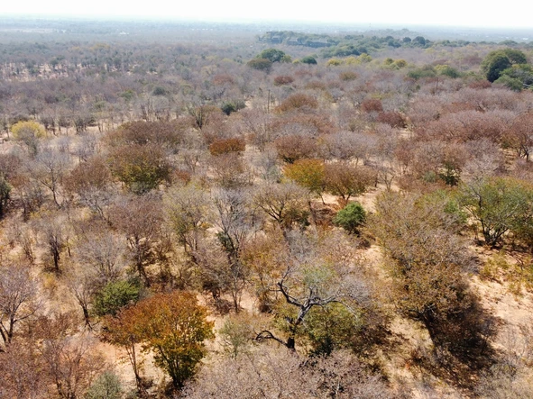 Commercial & Industrial Land