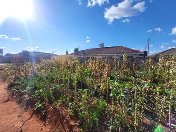 Stands & Residential Land