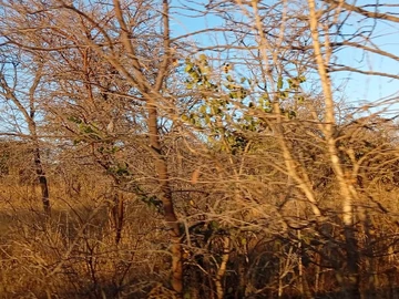 Farm & Agricultural Land
