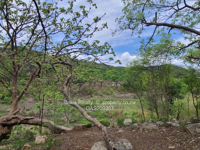 Agro-residential plot for sale in Christon Bank 