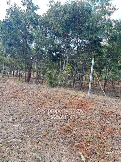 Fenced 4,520 m2 Gletwin Park Stand - Tarred Road
