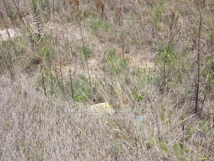 Serviced 800m² Stand in Tawona Gardens Ruwa 