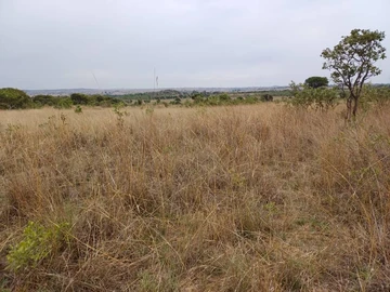 Farm & Agricultural Land