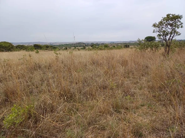 Farm & Agricultural Land