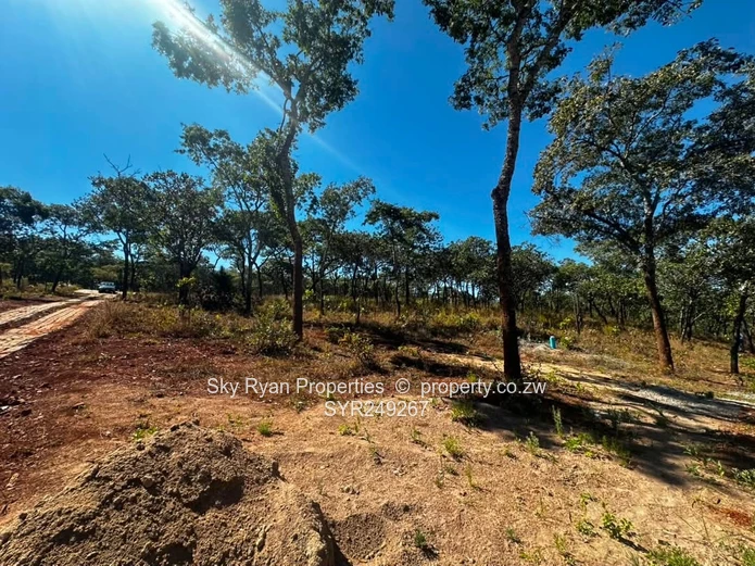 Shawasha Hills Stand For Sale