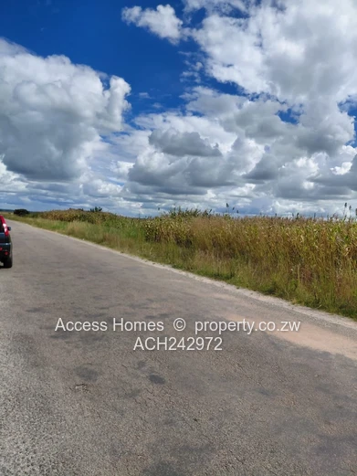 Hatfield Chiremba Park 