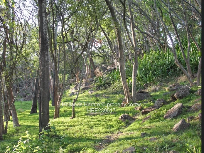 Luxury townhouse for rent