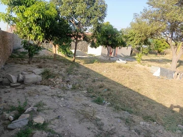Land