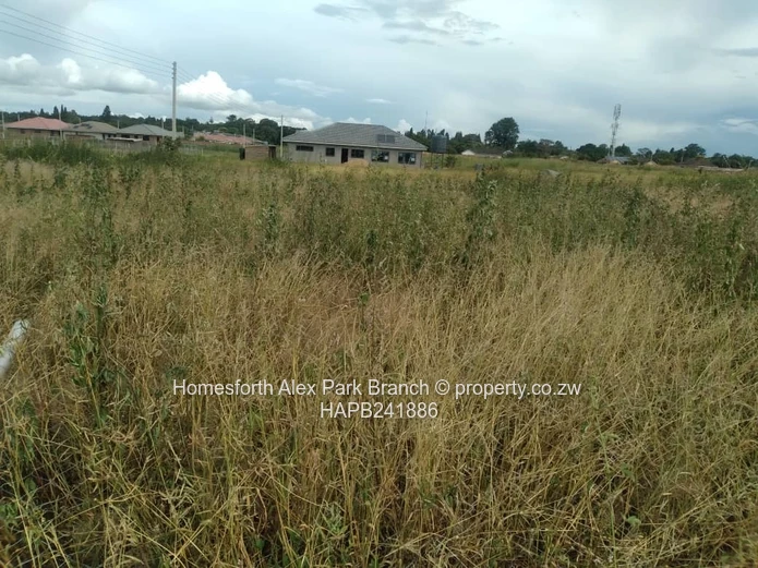 New Marimba Stand On Sale