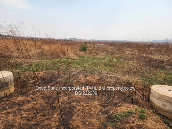 Glaudina stand for sale. 