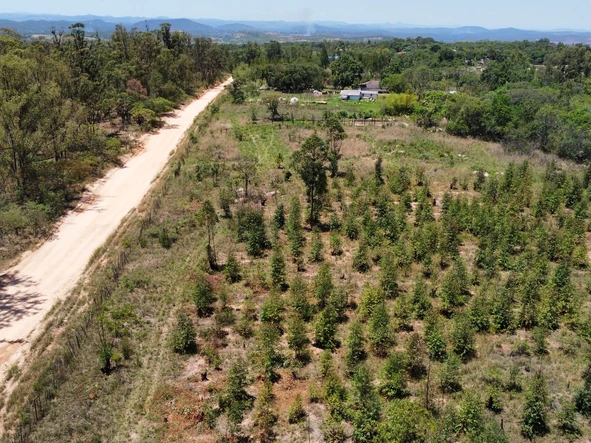 Farm & Agricultural Land