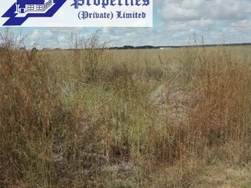 Lingfield Gweru25