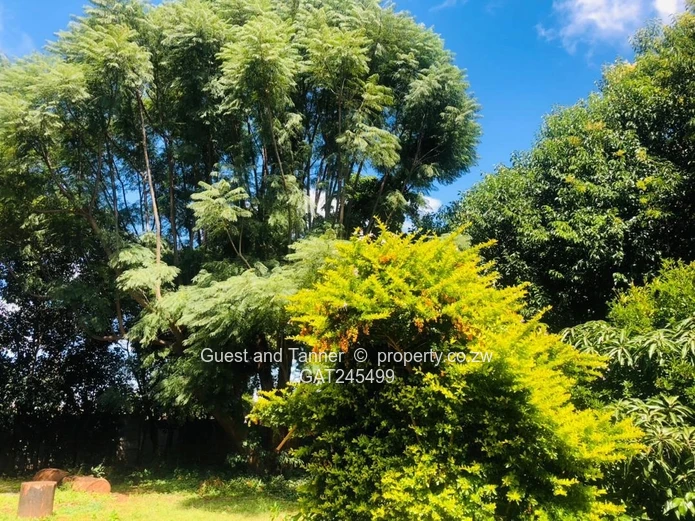 Renovator’s dream in Gletwyn, Harare North, priced at $375 000