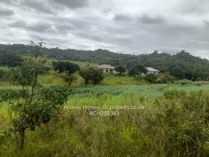 Gweru Hertfordshire Stand for sale 