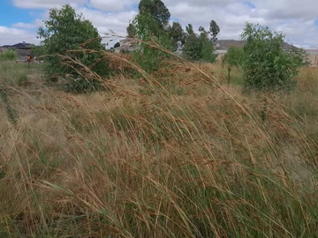 Prime 1467 m² Plot in Sandton Park, Harare West For Sale