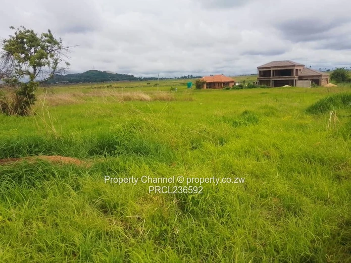 Goodhope Stand For Sale