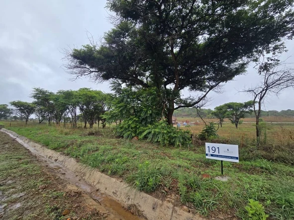 Stands & Residential Land