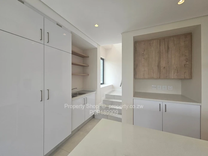 Brand new world class luxurious penthouse in Sandton. 