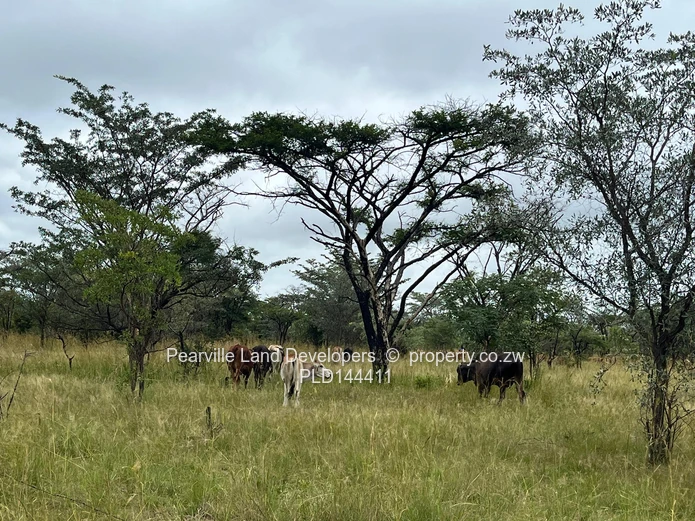 20-23ha agro-residential land,3km from the Masvingo Rd