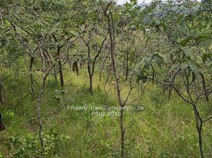 Excellently Positioned!