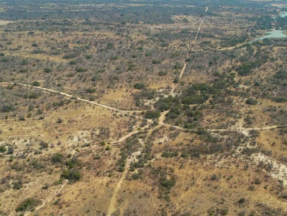 Farm & Agricultural Land