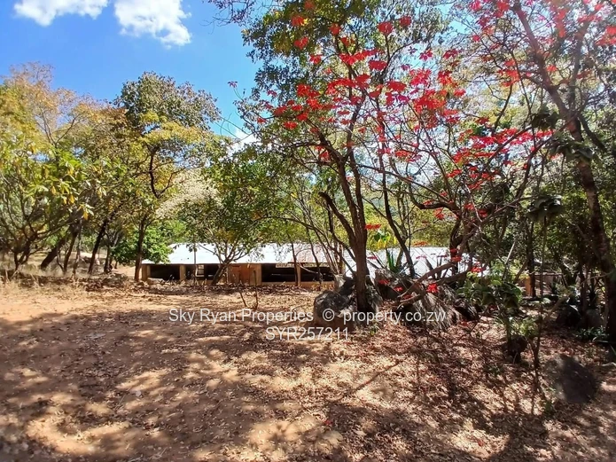 Christon Bank Property For Sale