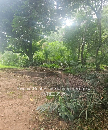 Newlands 4Beds On 8000Sqm Potential For Development 