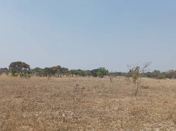 Farm & Agricultural Land