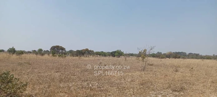 5.2 hectares Farmland. (Sole Mandate)