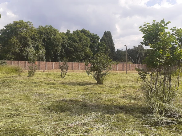 Stands & Residential Land