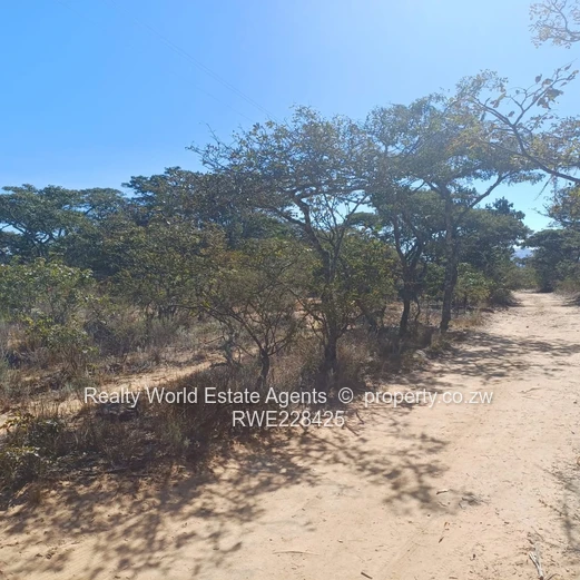 Land for Sale in Nyanga-Fox Rock Drive